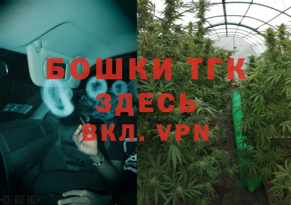 дживик Касимов