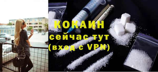 дживик Касимов