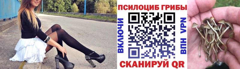 Галлюциногенные грибы ЛСД  Тихвин 