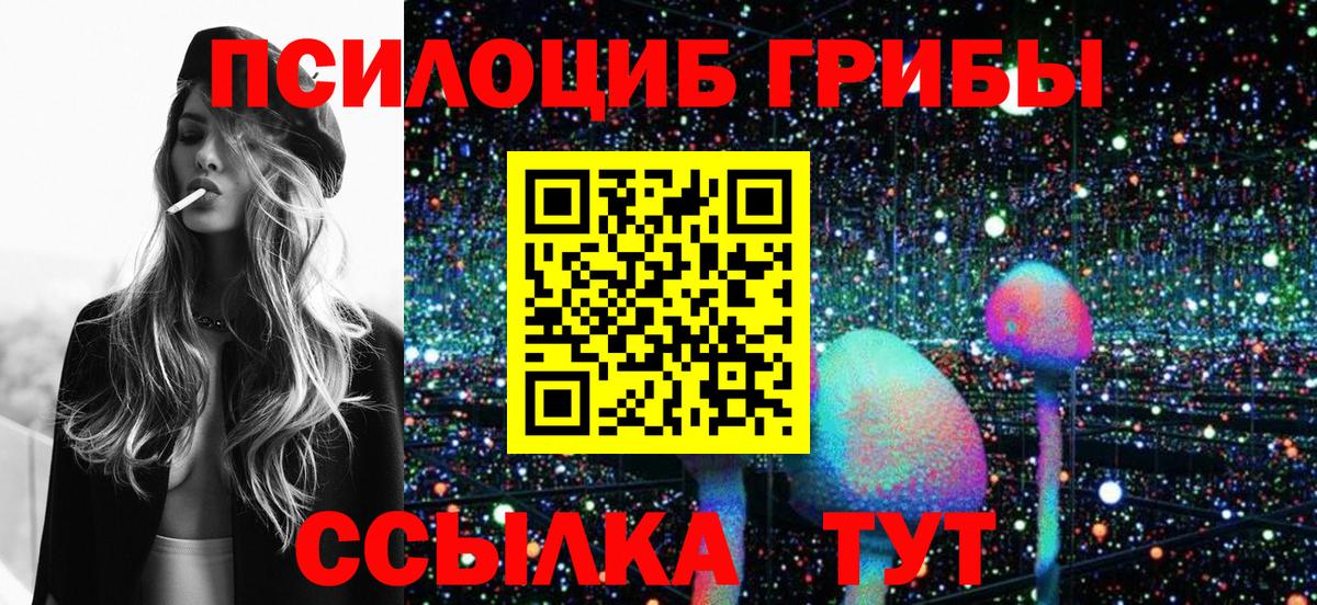 Псилоцибиновые грибы Cubensis Тихвин