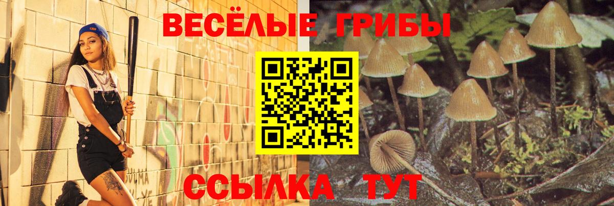Тихвин  Псилоцибиновые грибы GOLDEN TEACHER  Вход с VPN 