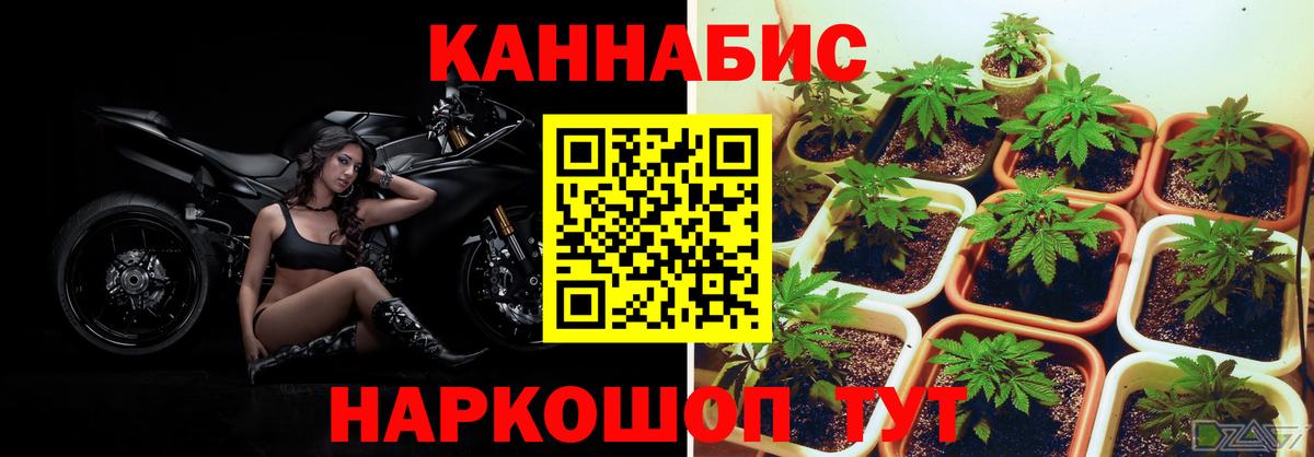 Тихвин  МАРИХУАНА ГИДРОПОН  Вход с VPN  Бошки Шишки ГИДРОПОН 